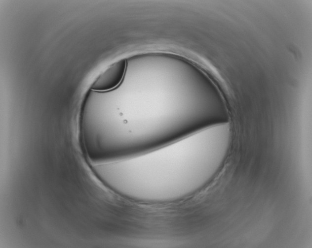 X0000114241512200910091339