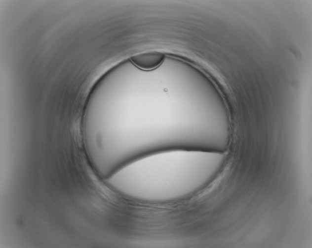 X0000114241513200910091339