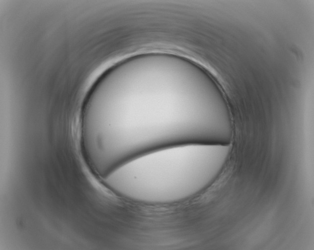 X0000114241515200910091339