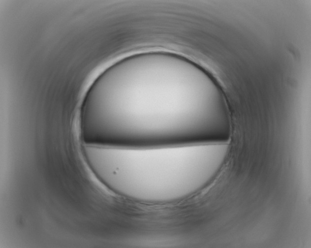 X0000114241516200910091339