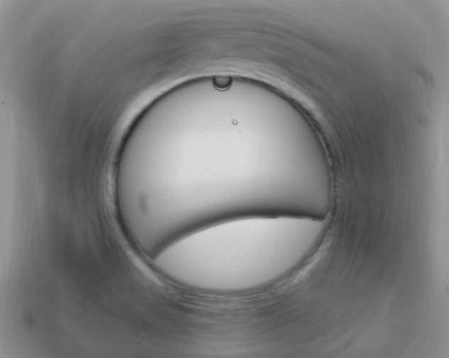 X0000114241517200910091339
