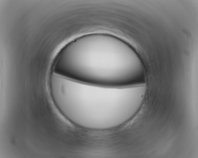 X0000114241518200910091339