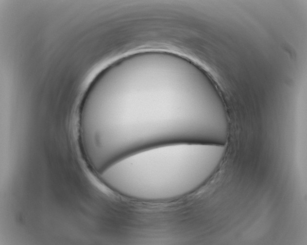 X0000114241519200910091339