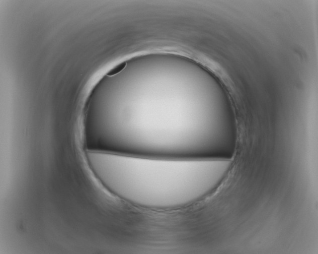 X0000114241520200910091339