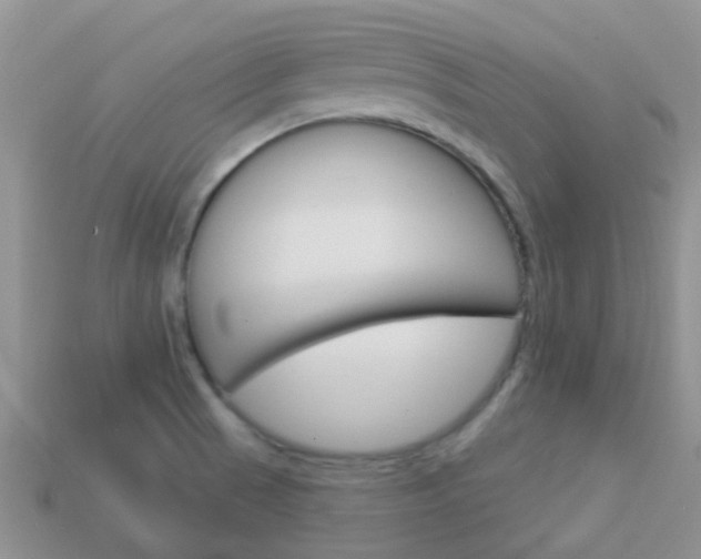 X0000114241521200910091339