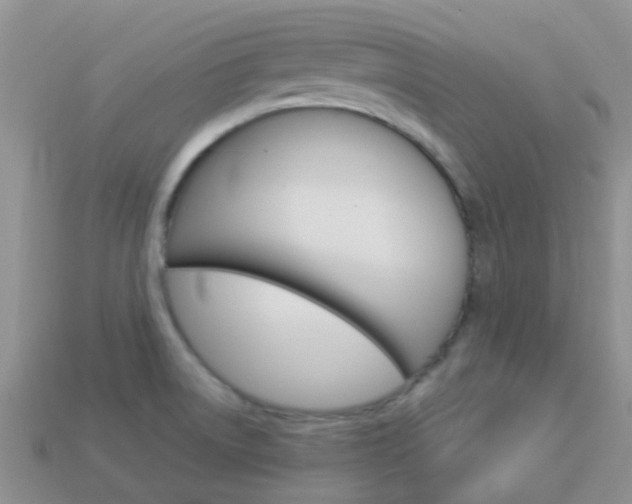 X0000114241522200910091339