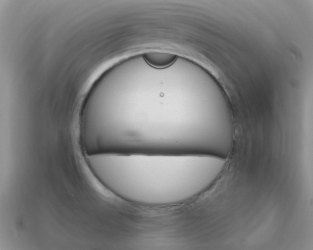 X0000114241523200910091339