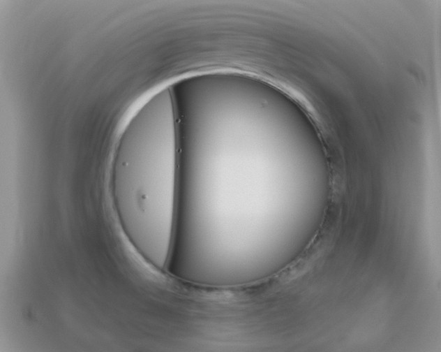 X0000114241524200910091339