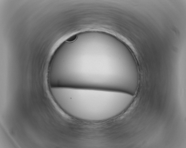 X0000114241525200910091339
