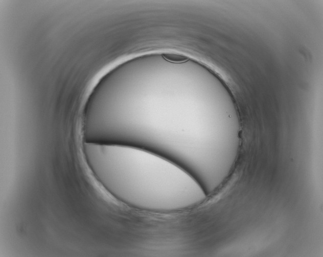 X0000114241526200910091339