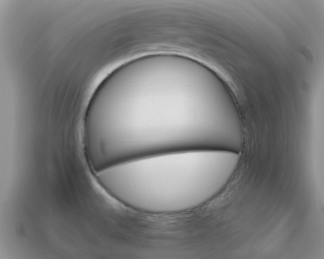 X0000114241527200910091339