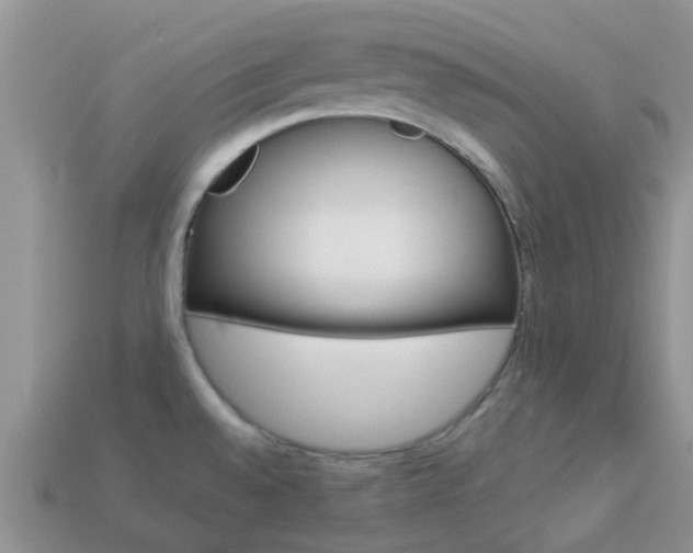 X0000114241528200910091339