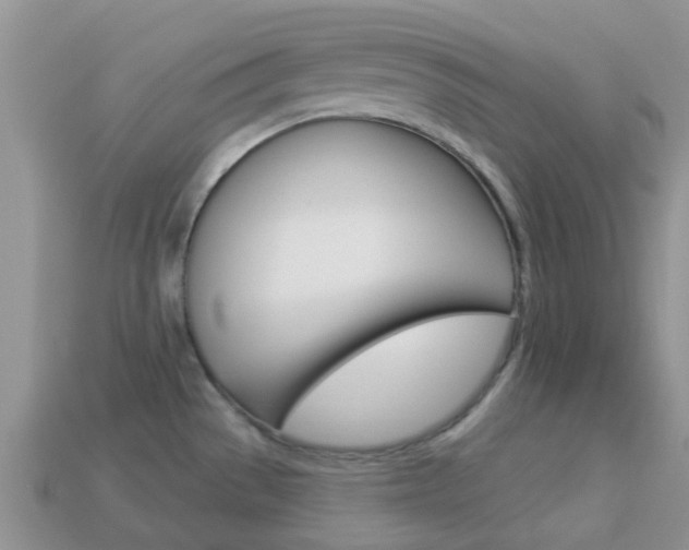 X0000114241529200910091339