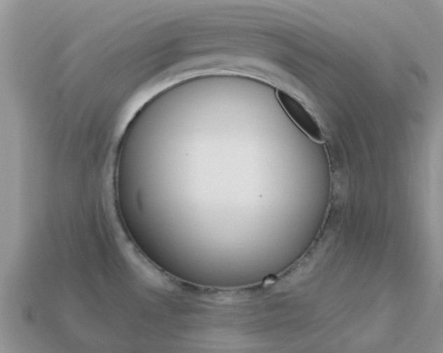 X0000114241530200910091339