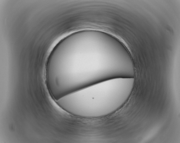 X0000114241531200910091339