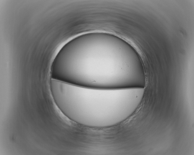 X0000114241532200910091339