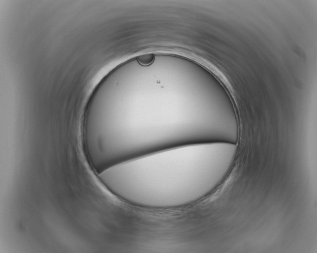 X0000114241533200910091339