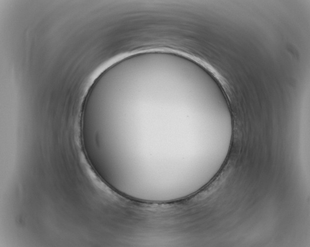 X0000114241534200910091339
