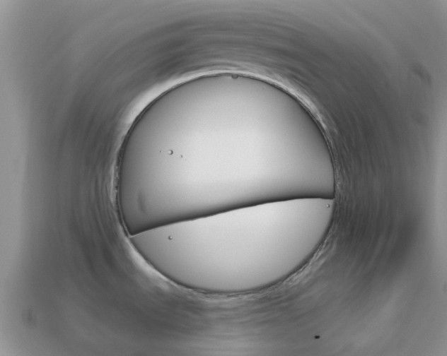 X0000114241535200910091339