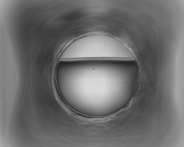 X0000114240001200910091518
