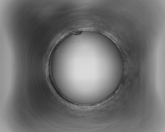 X0000114240002200910091518