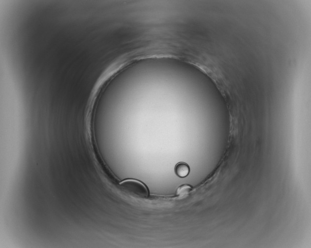 X0000114240004200910091518