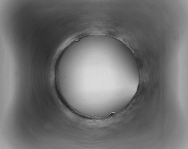 X0000114240005200910091518