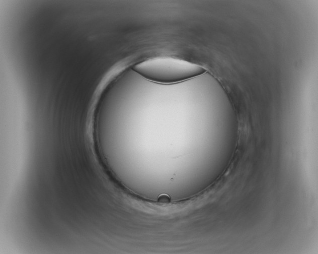 X0000114240006200910091518