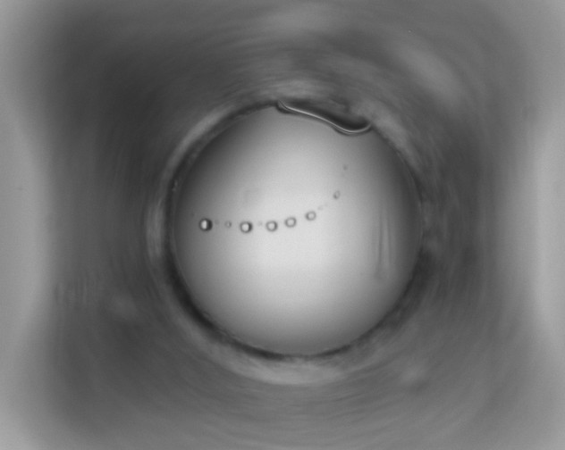 X0000114240012200910091518