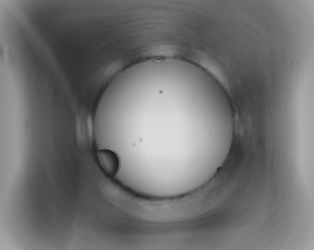 X0000114240013200910091518