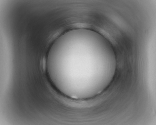 X0000114240014200910091518