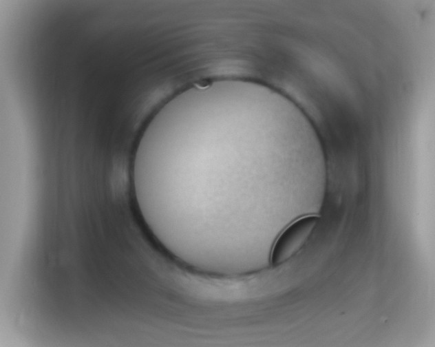 X0000114240015200910091518