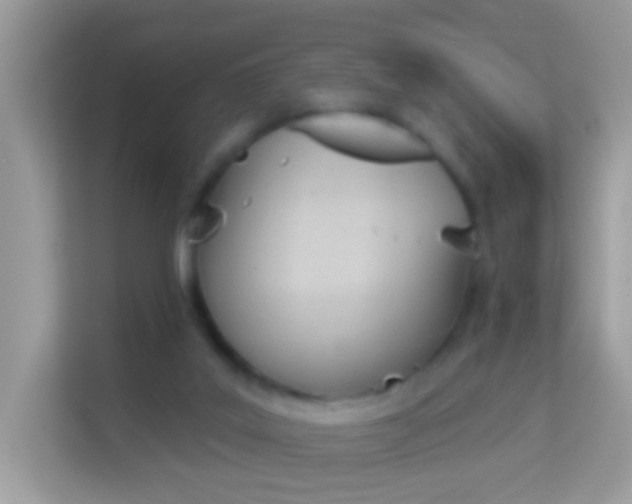 X0000114240019200910091518