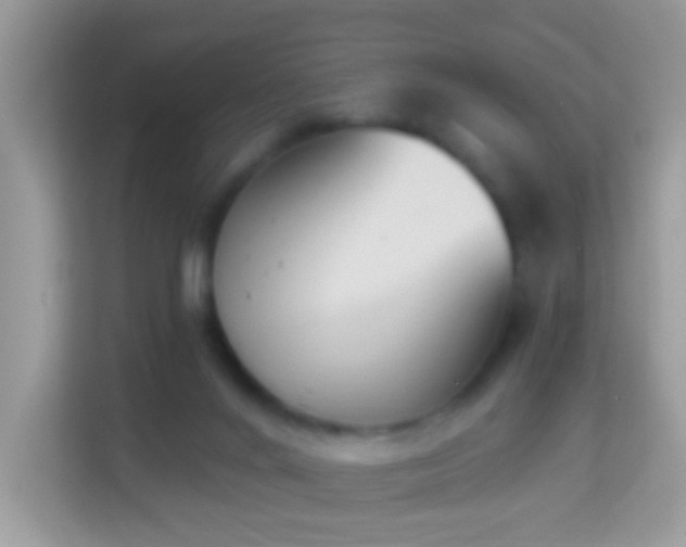 X0000114240024200910091518
