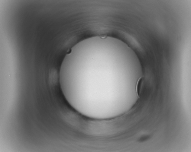 X0000114240025200910091517