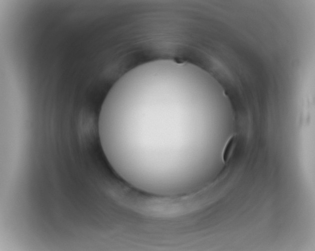 X0000114240029200910091517