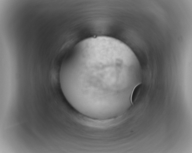 X0000114240035200910091517
