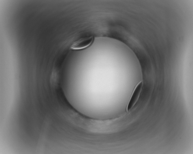 X0000114240037200910091517
