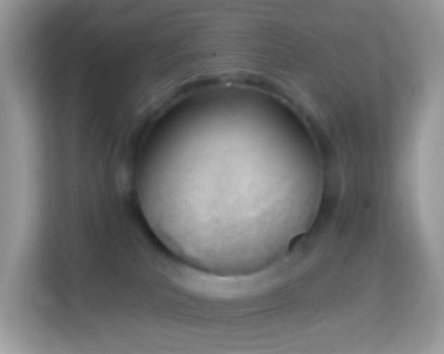 X0000114240039200910091517