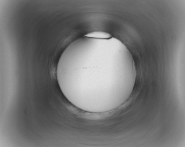 X0000114240045200910091517