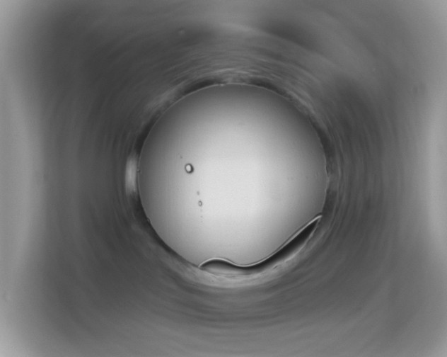 X0000114240047200910091517