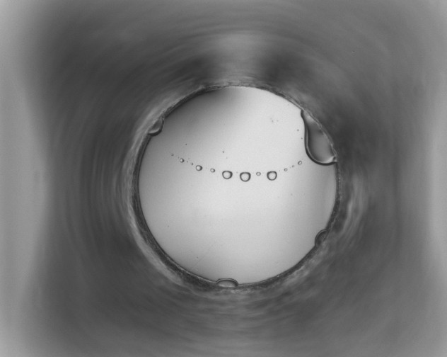 X0000114240049200910091517