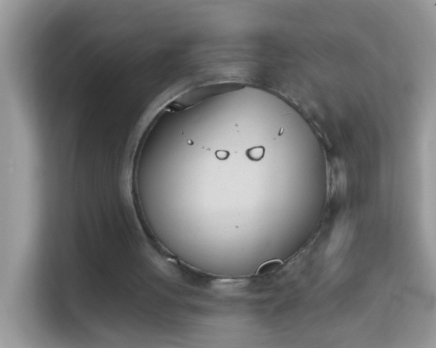 X0000114240051200910091517