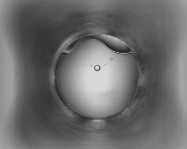X0000114240053200910091517