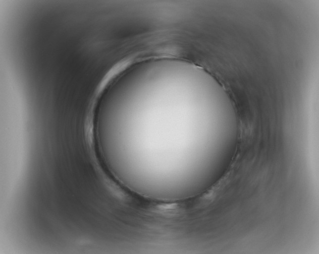 X0000114240054200910091517