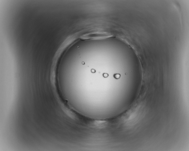 X0000114240055200910091517
