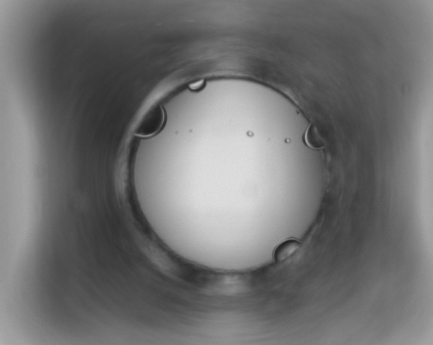 X0000114240056200910091517