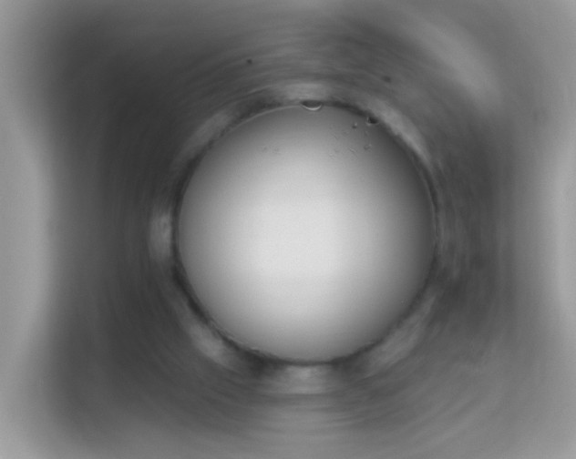 X0000114240057200910091517