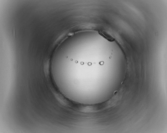 X0000114240058200910091517