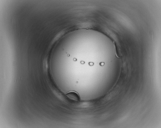 X0000114240059200910091517